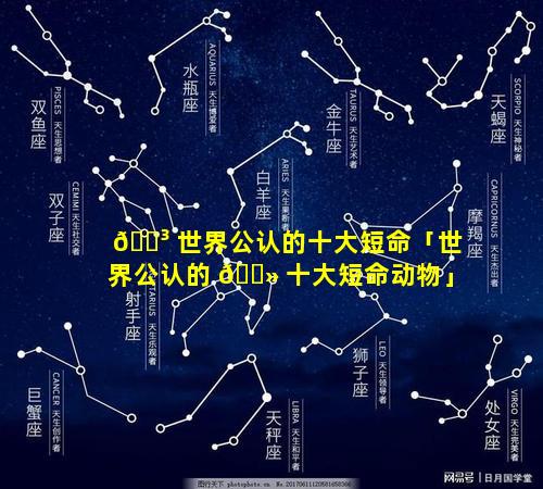 🐳 世界公认的十大短命「世界公认的 🌻 十大短命动物」